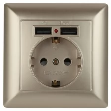 Розетка ЭРА Intro Solo Schuko P+E 16A 250V со шторками 2хUSB шампань 4-410-04 Б0043406